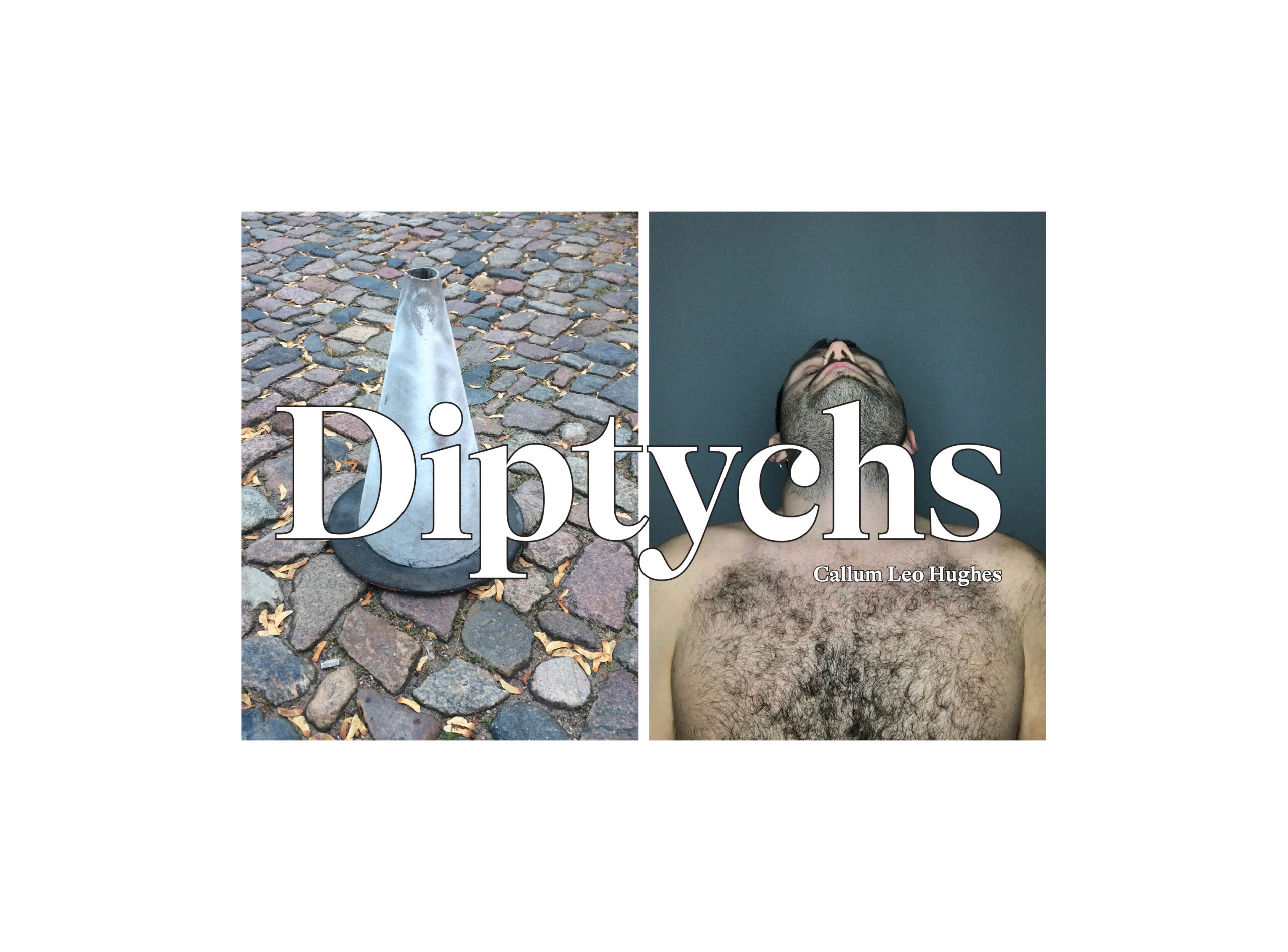 Diptychs 