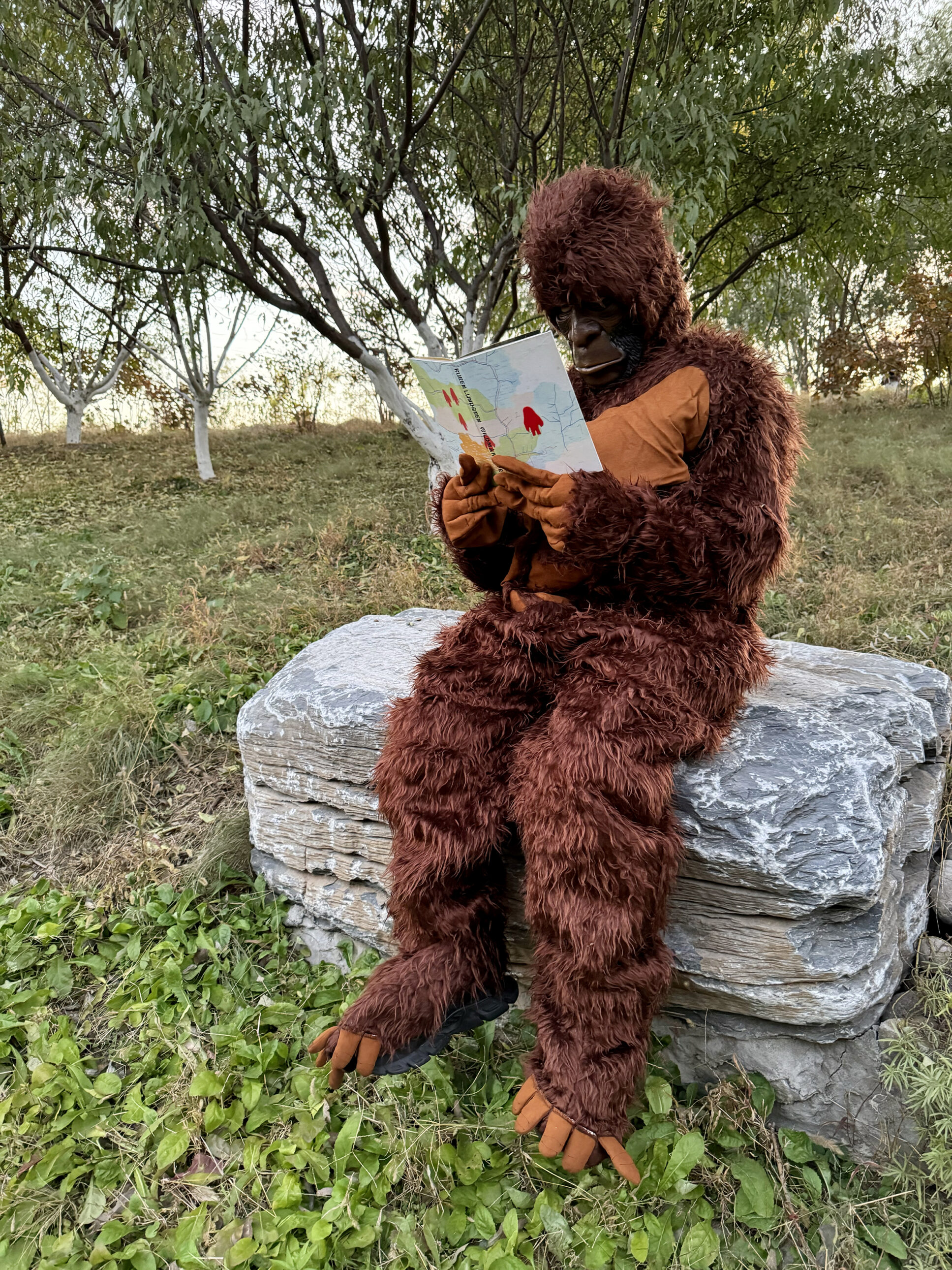 Wildman reading the book Wildman Fever