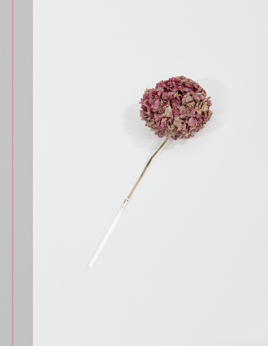 Micea Nicolae - All Alone