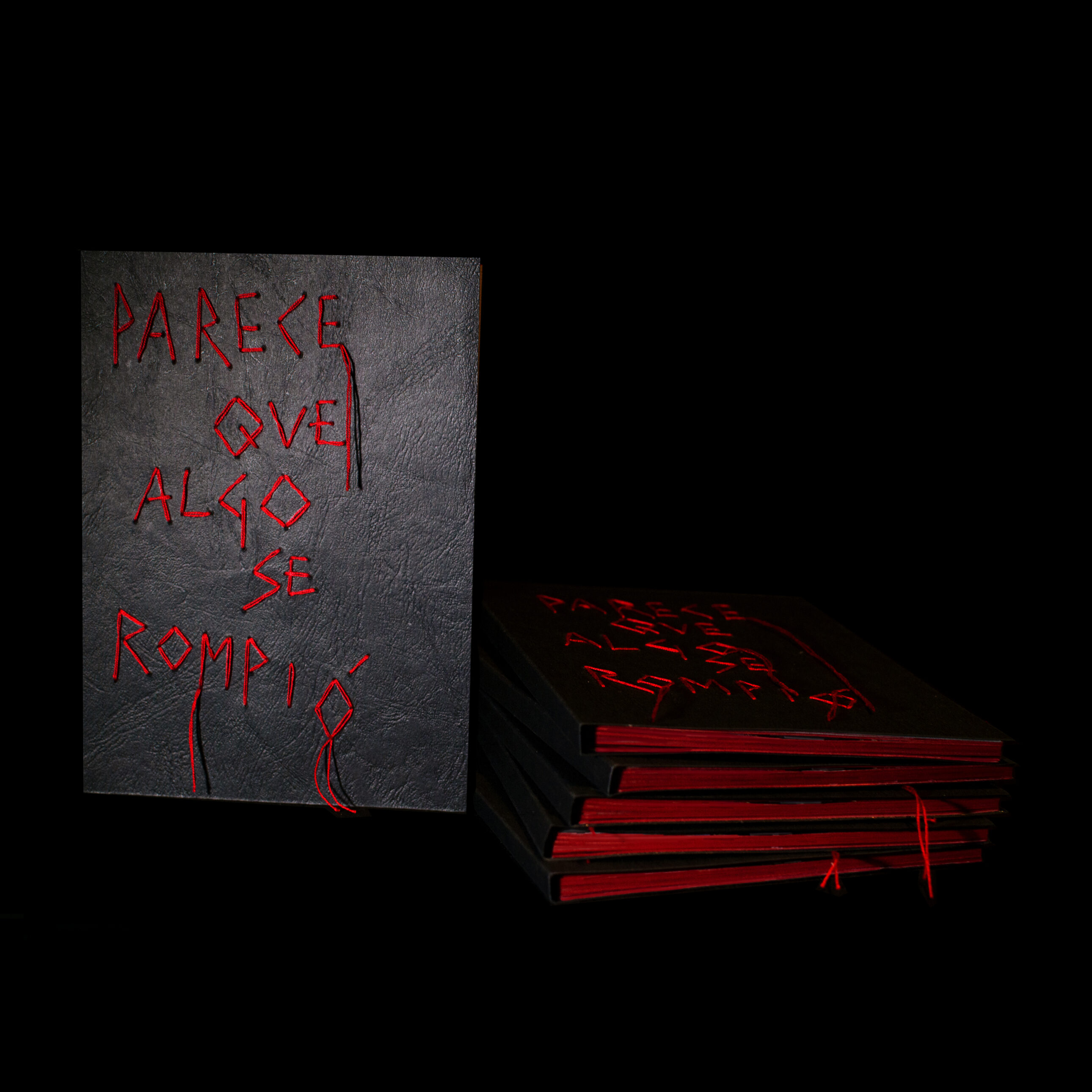 Parece que algo se rompió