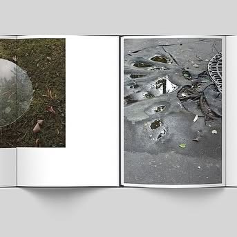 Bird, Plane, Butterfly. Antoinette Nausikaä