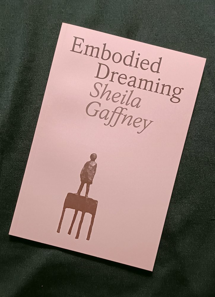 Embodied Dreaming