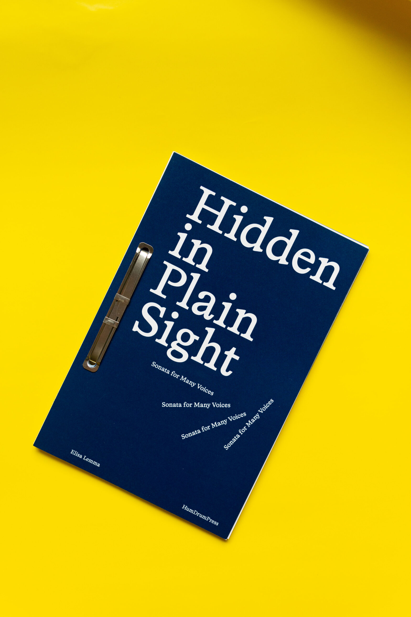 Hidden in Plain Sight