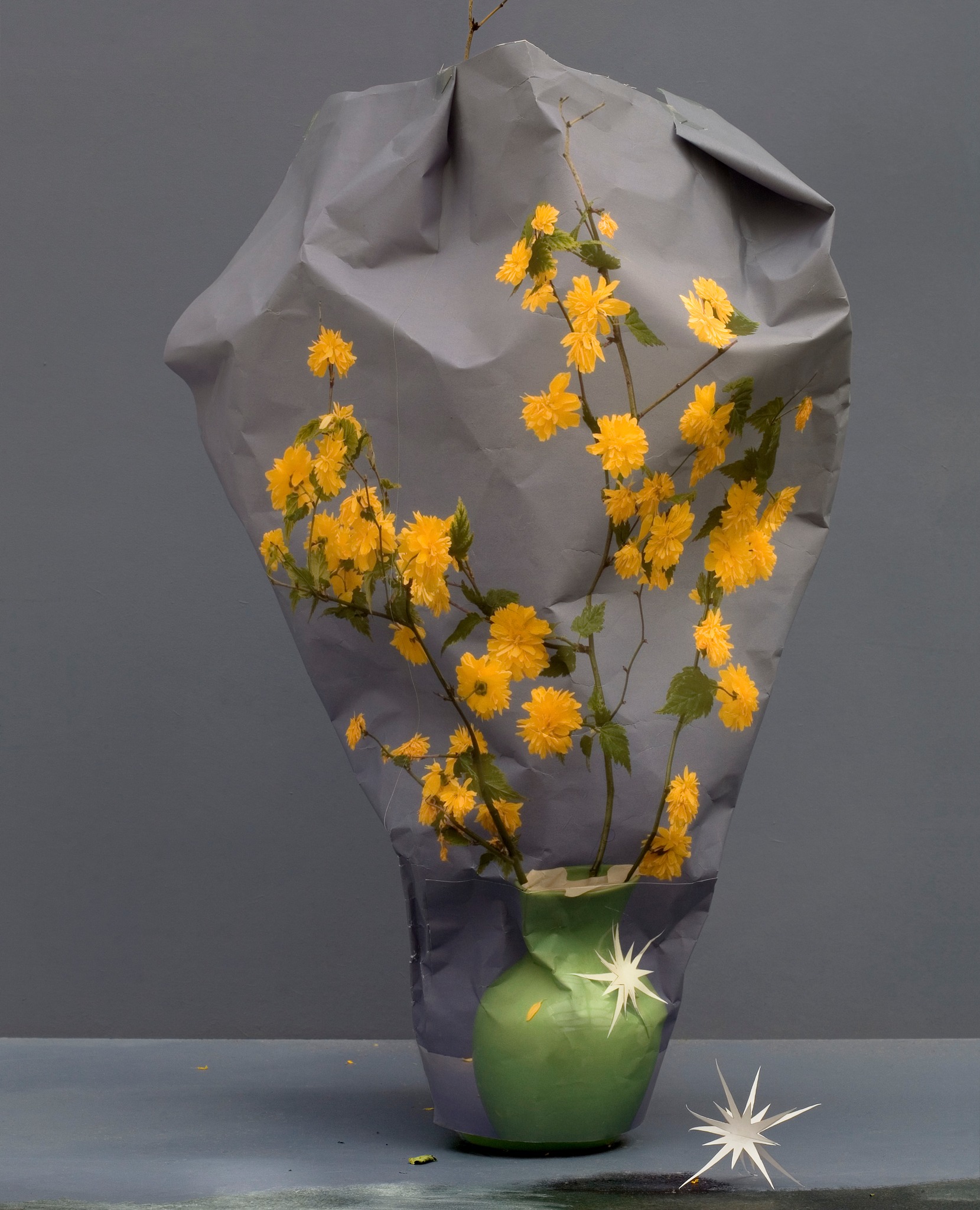 Presence. Ilona Plaum