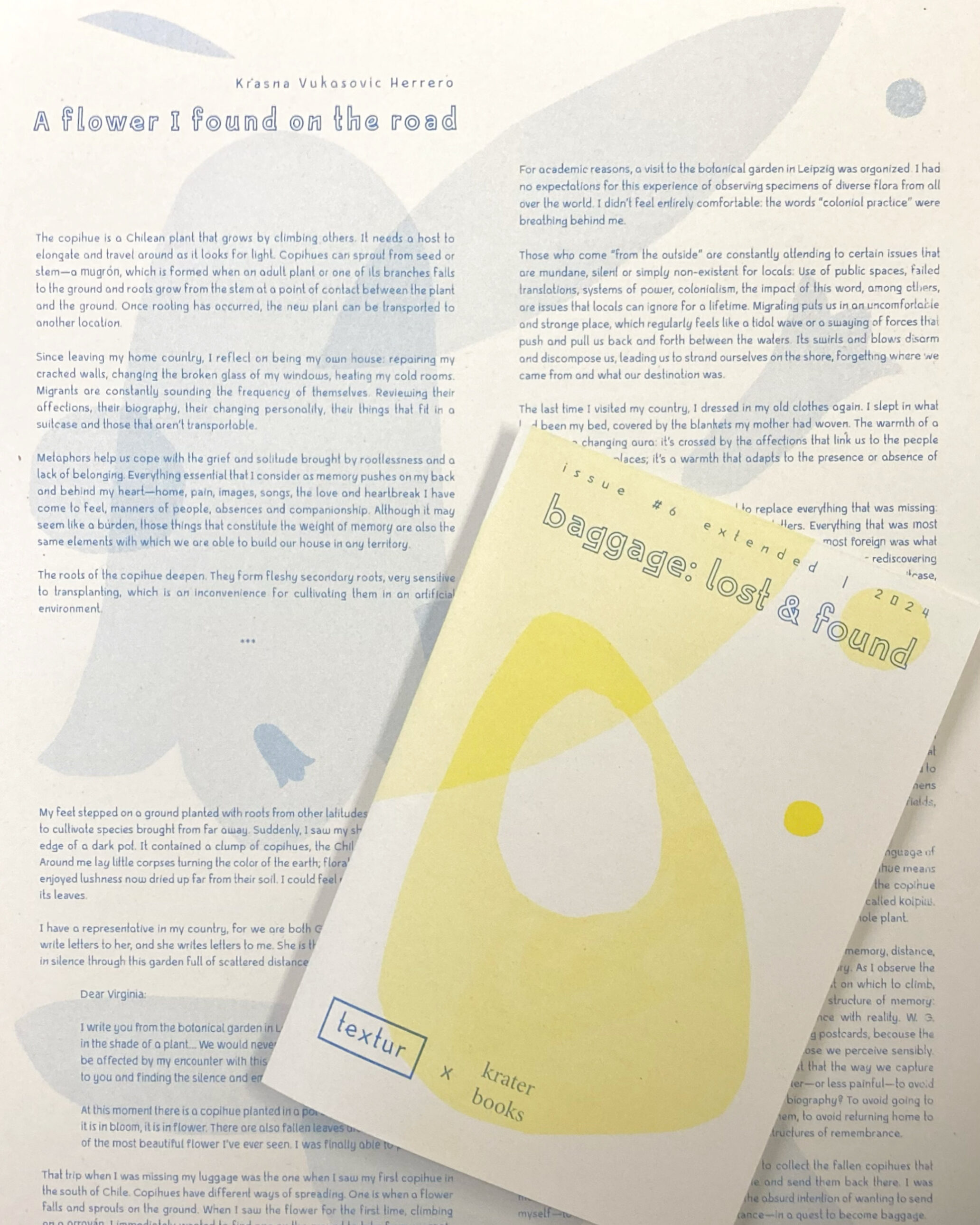 baggage: lost and found