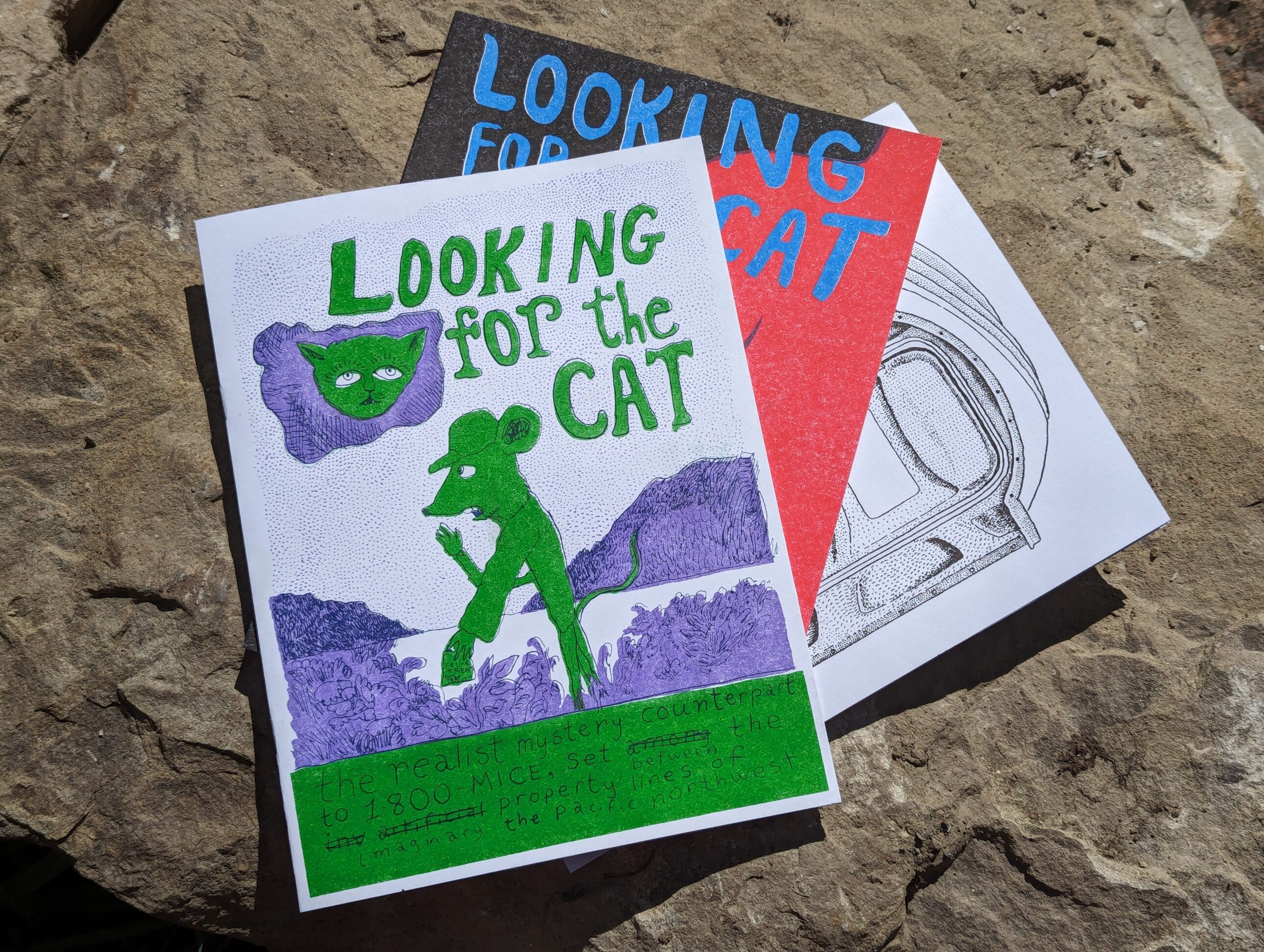 Looking for the Cat #1-3