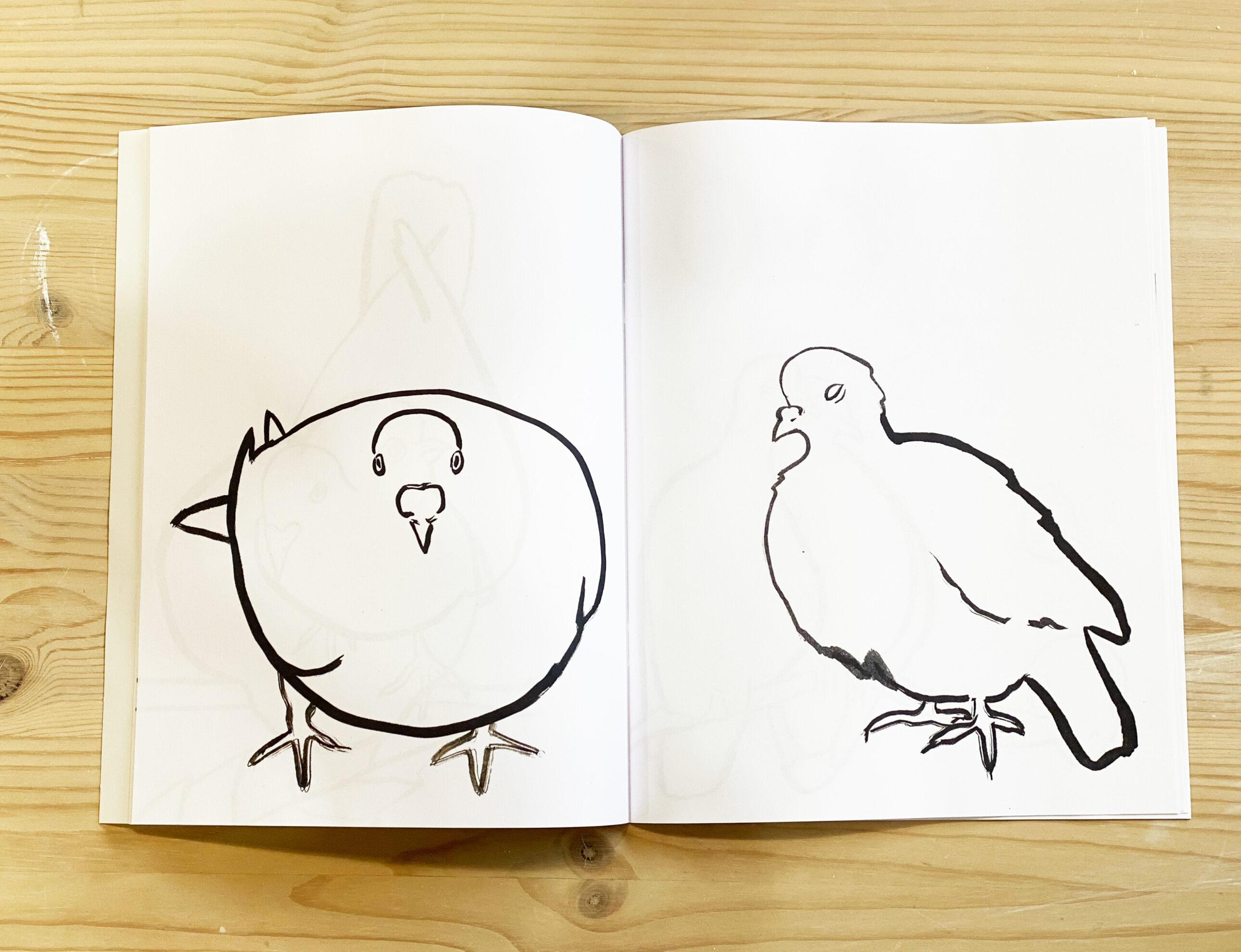 Palomas, Coloring Book