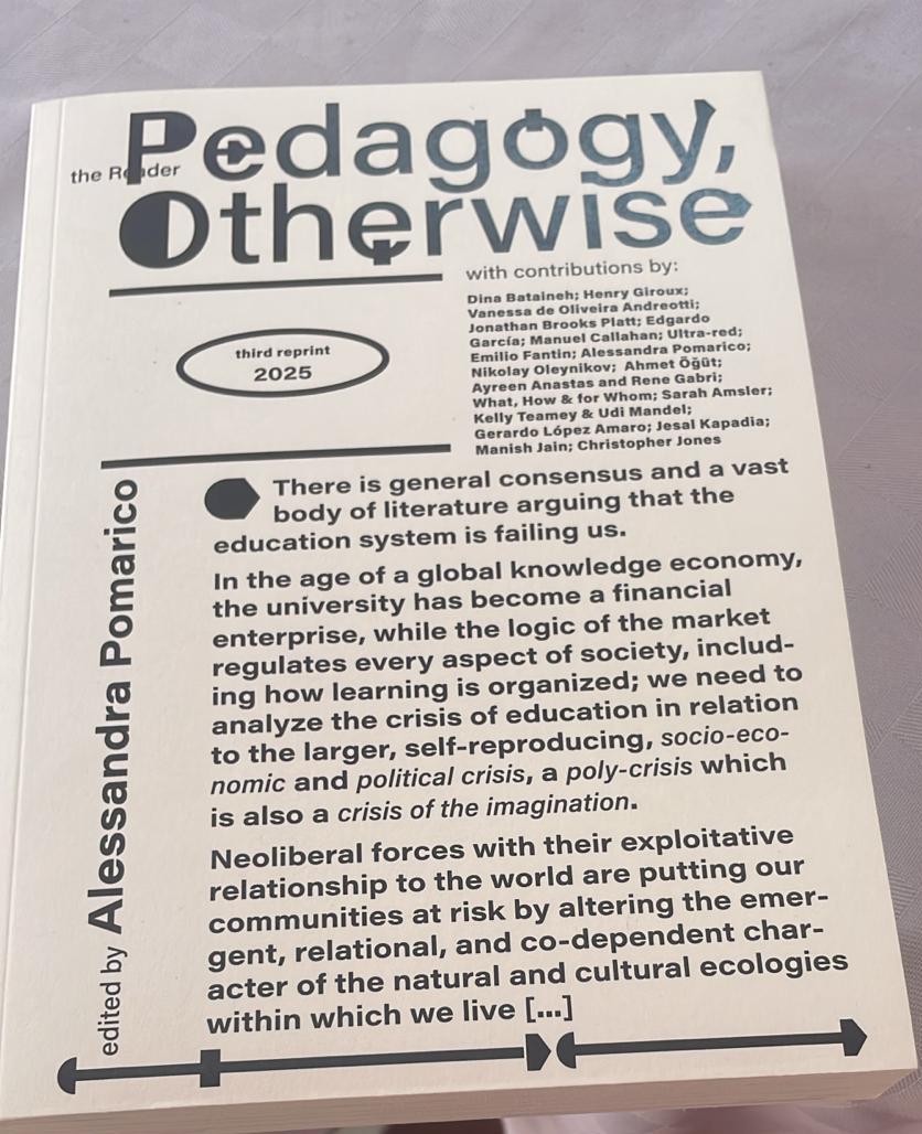 Pedagogy Otherwise-01