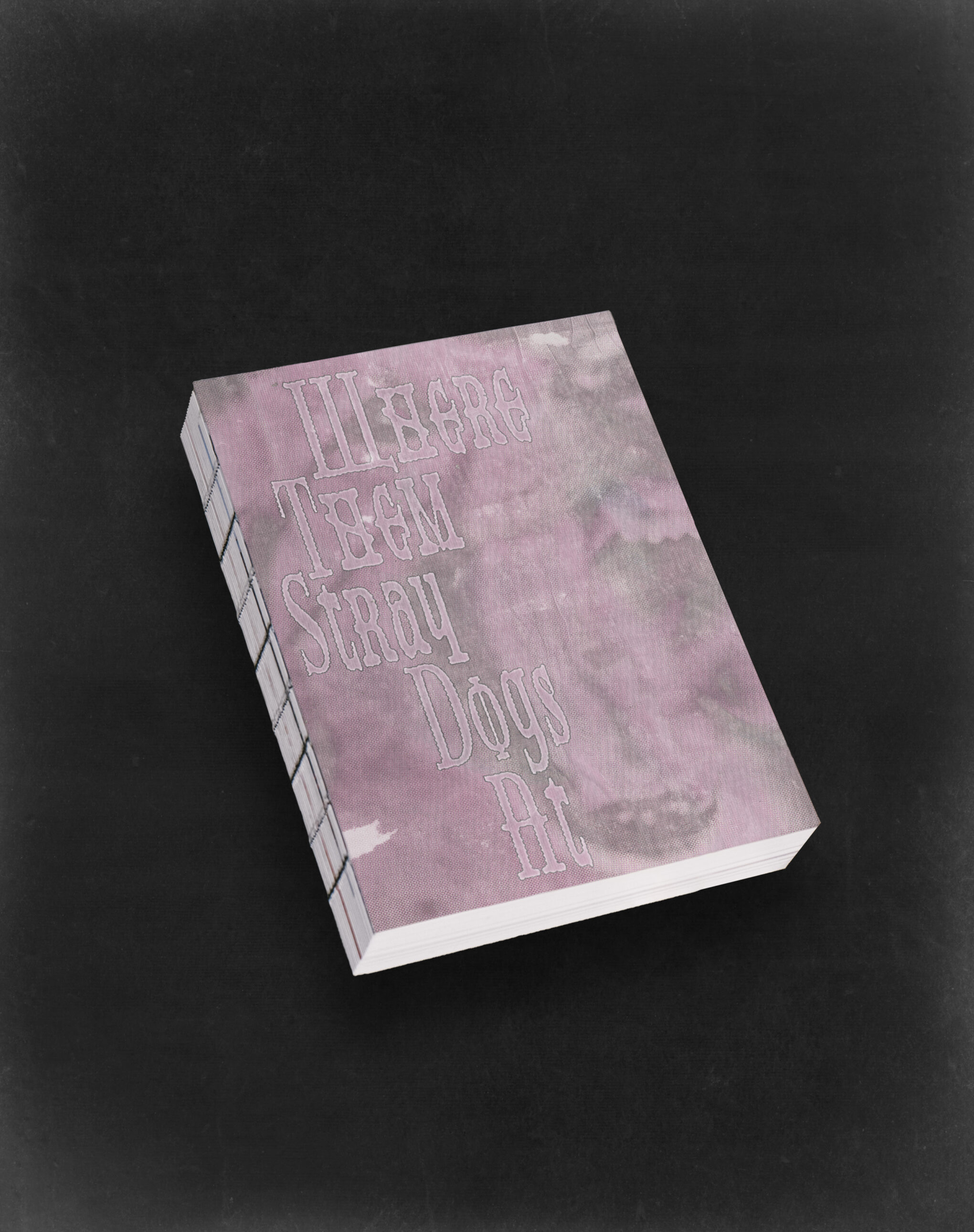 Where Them Stray Dogs At